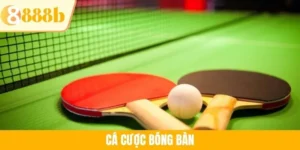 Cá Cược Bóng Bàn 888B - Chi Tiết Từ A Đến Z Cho Tân Binh