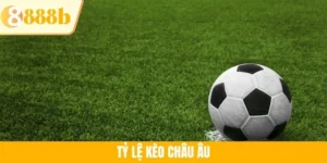 Tỷ lệ kèo Châu Âu - Mẹo Đặt Cược Chắc Thắng Từ Cao Thủ