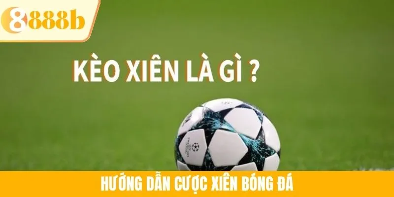 Hướng Dẫn Cược Xiên Bóng Đá Hiệu Quả Từ A - Z Cho Newbie