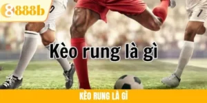 Kèo Rung Là Gì? Giải Mã Sức Hút Cược Live Bóng Đá Tại 888B