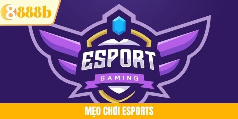 Mẹo Chơi Esports Giúp Bạn Đổi Đời Nhanh Chóng Tại 888B